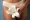 Vaginal Rejuvenation in Dubai, labiaplasty surgery in Dubai