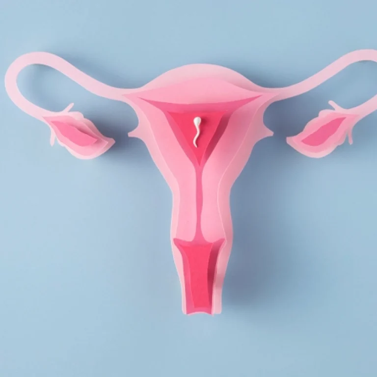 Ovarian Puncture in Dubai – Safe, Expert Care for Fertility Treatments